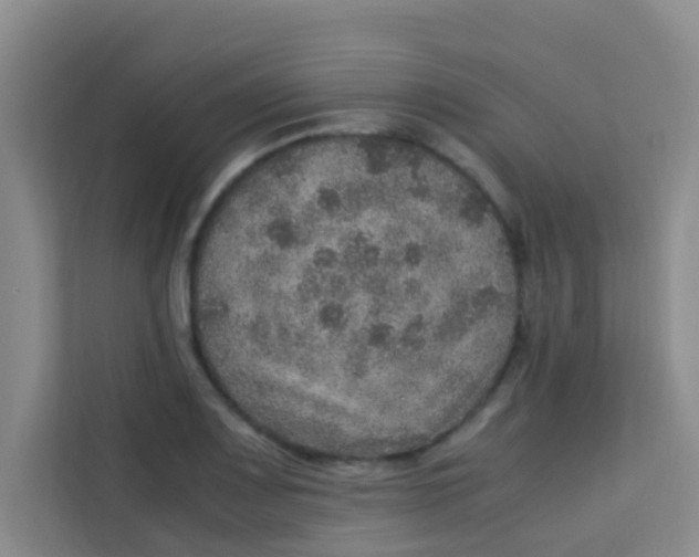 X0000113641083200910091532