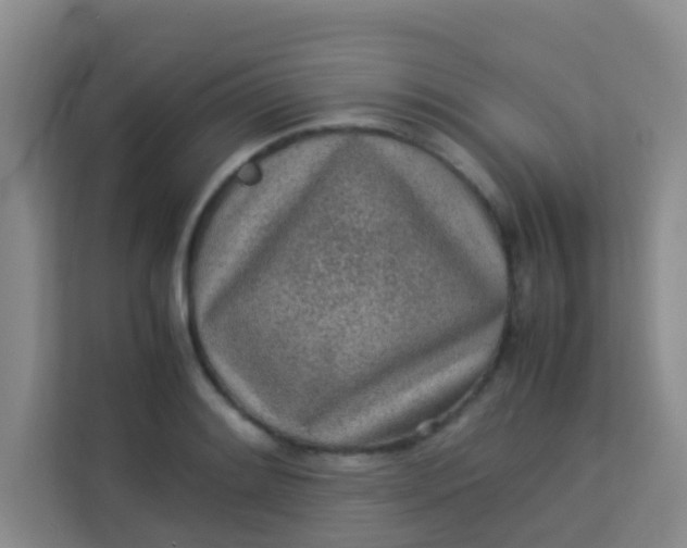 X0000113641084200910091532