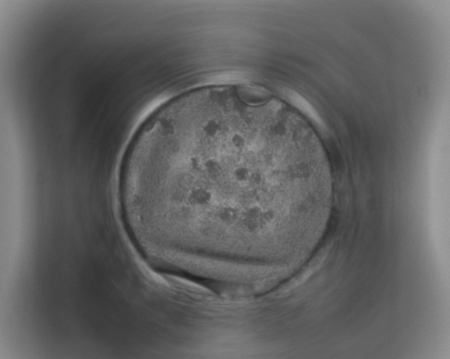 X0000113641087200910091532