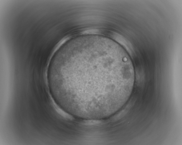 X0000113641090200910091532