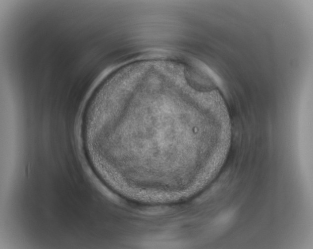 X0000113641091200910091532