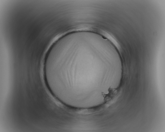 X0000113641093200910091532