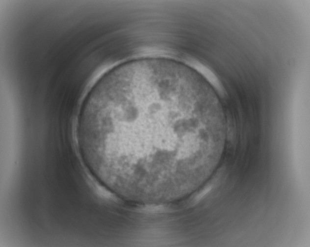 X0000113641094200910091532