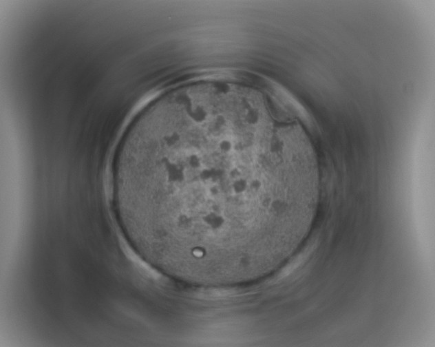 X0000113641095200910091532