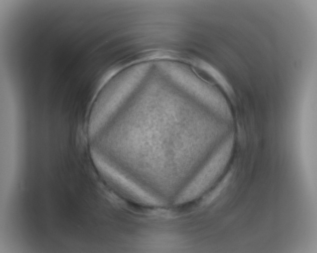 X0000113641097200910091532