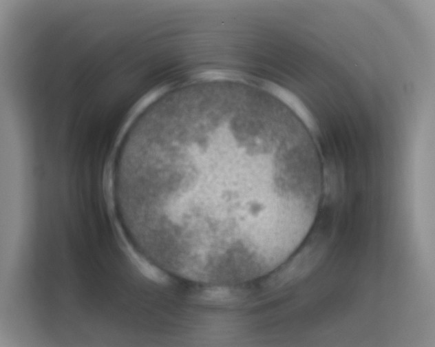 X0000113641098200910091532