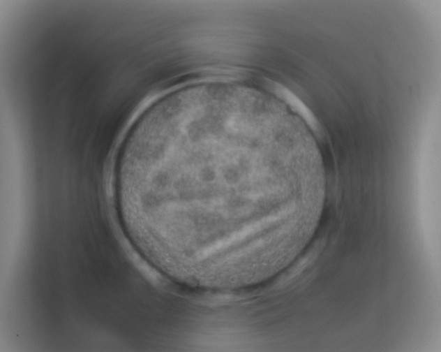 X0000113641099200910091532