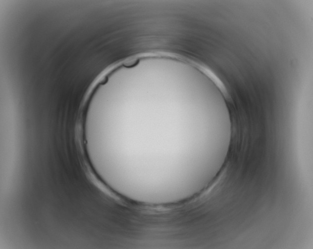 X0000113641100200910091532