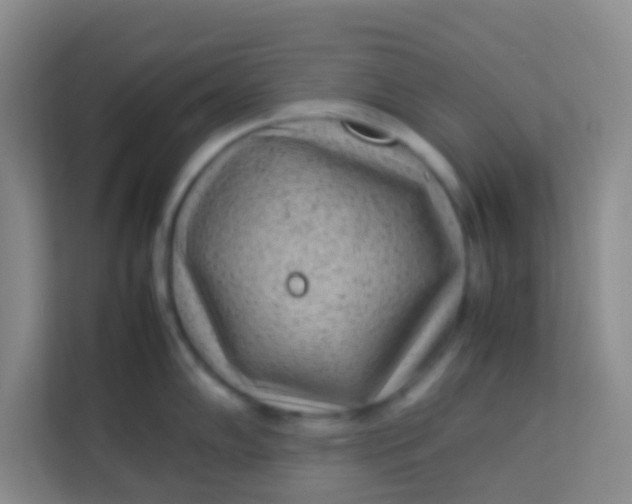 X0000113641102200910091532