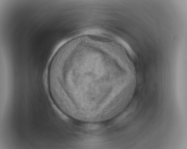 X0000113641103200910091532