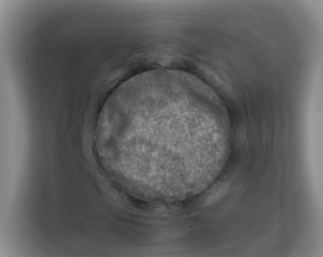 X0000113641105200910091531