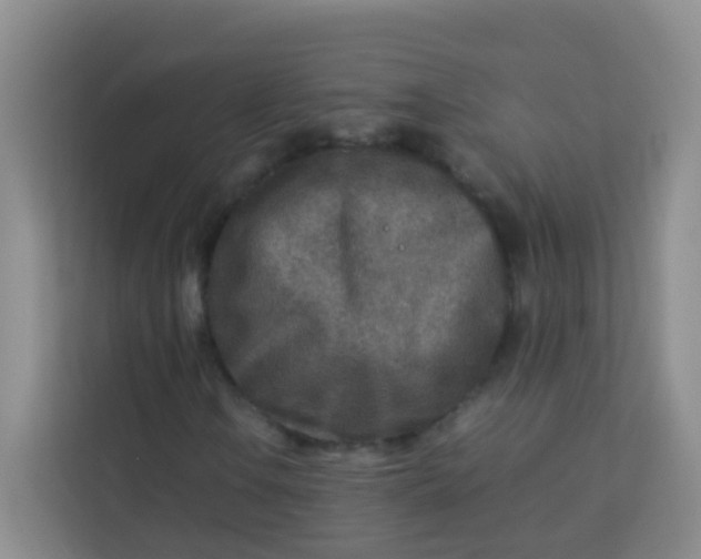 X0000113641106200910091531