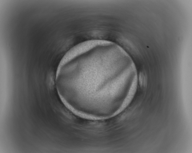 X0000113641107200910091531