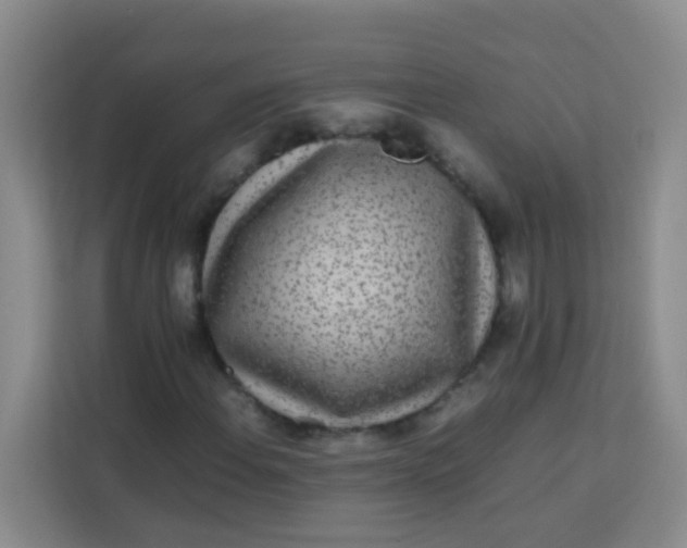 X0000113641108200910091531