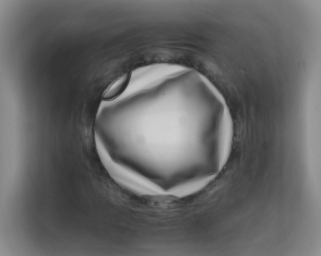 X0000113641109200910091531