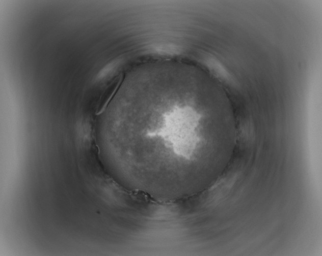 X0000113641110200910091531