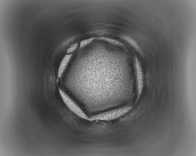 X0000113641111200910091531