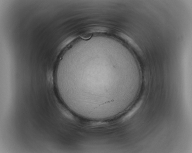 X0000113641113200910091531