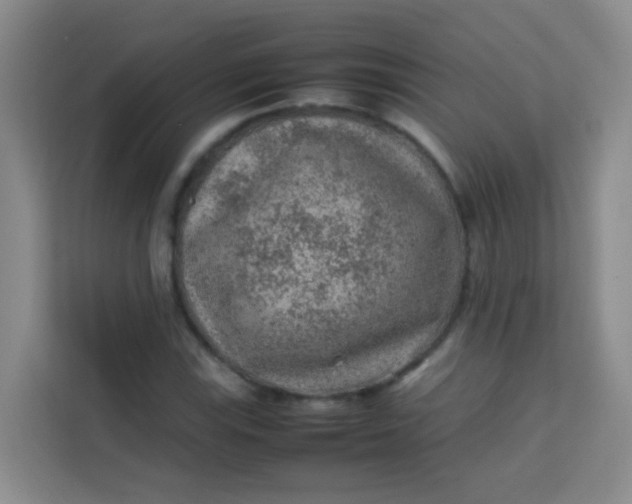 X0000113641115200910091531