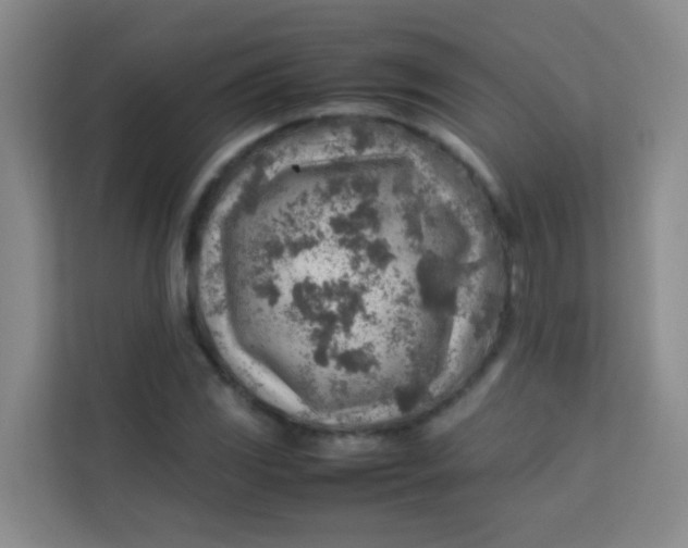 X0000113641117200910091531