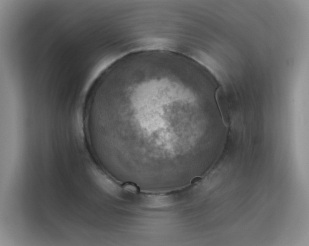 X0000113641120200910091531