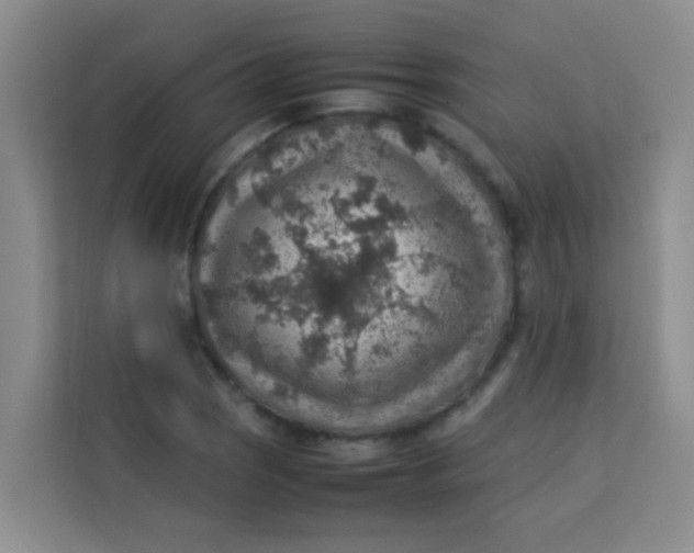 X0000113641121200910091531