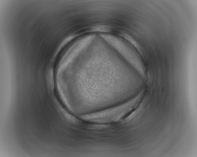 X0000113641123200910091531