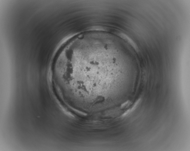 X0000113641125200910091531