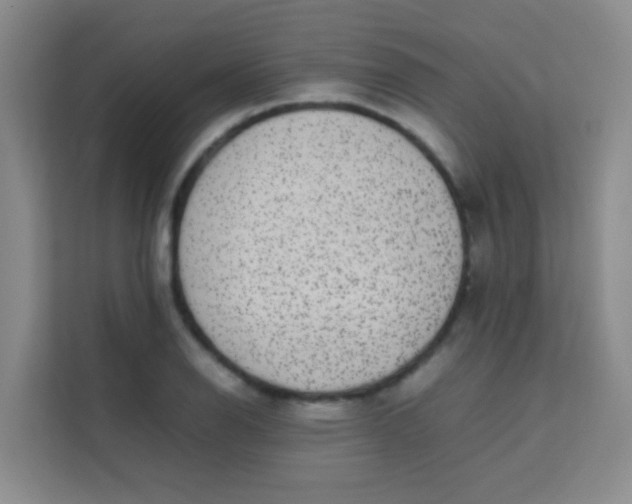 X0000113641126200910091531