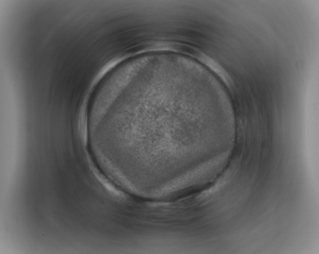 X0000113641127200910091531