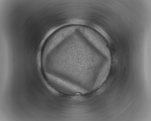 X0000113641128200910091531