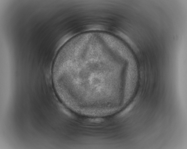 X0000113641129200910091531