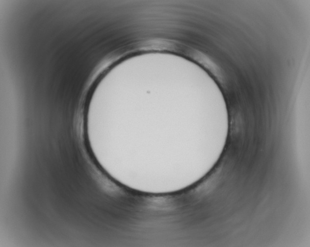 X0000113641130200910091531