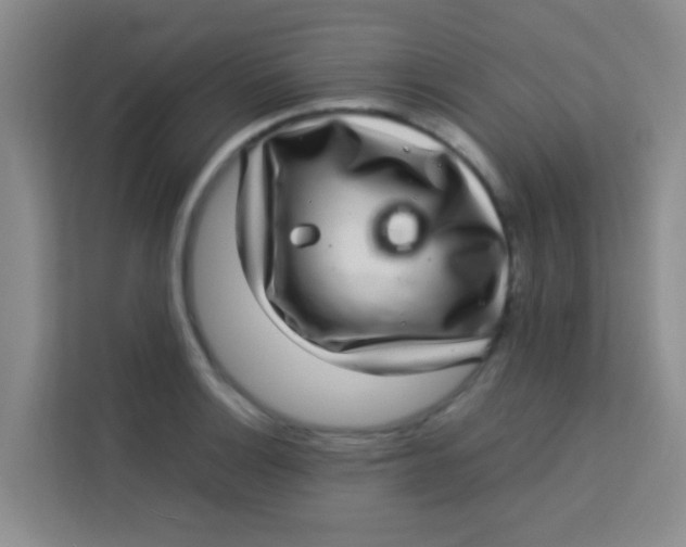 X0000113641132200910091531