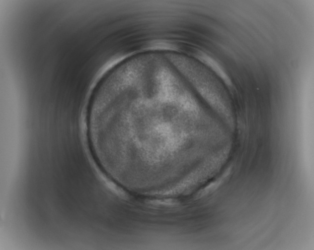 X0000113641133200910091531