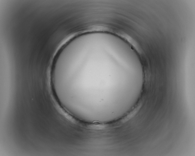 X0000113641134200910091531