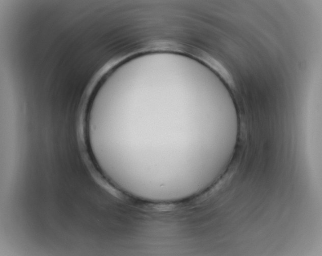 X0000113641136200910091531