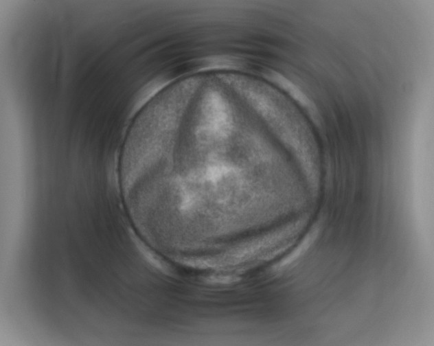 X0000113641137200910091531