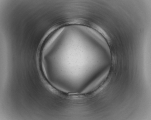 X0000113641138200910091531