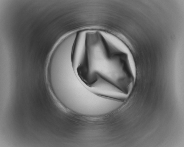 X0000113641140200910091531