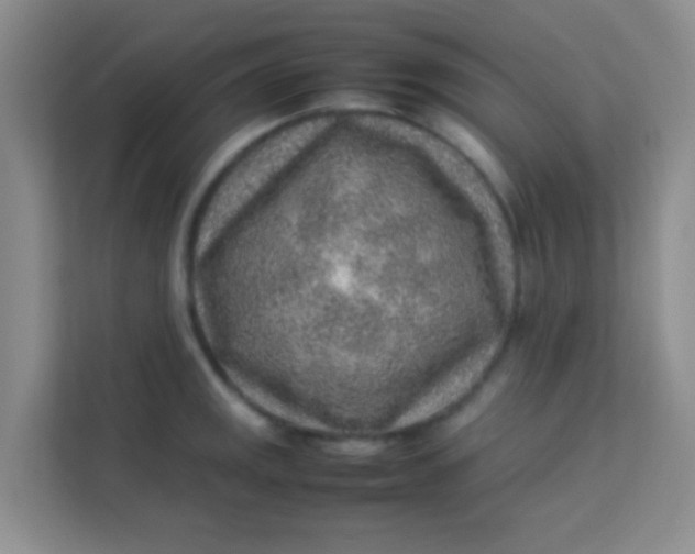 X0000113641141200910091531