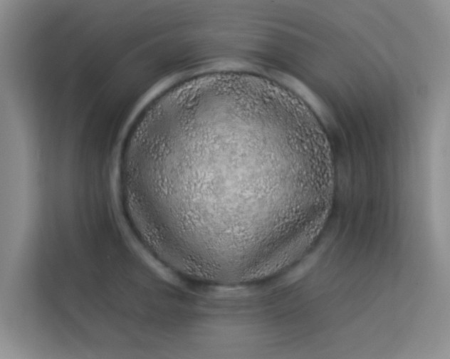 X0000113641142200910091531