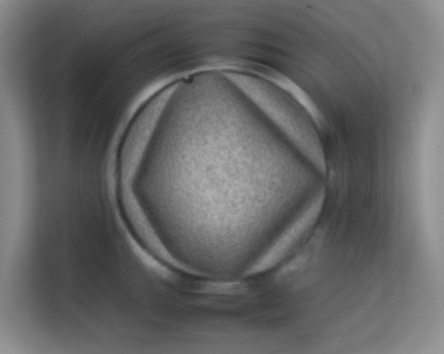 X0000113641143200910091531