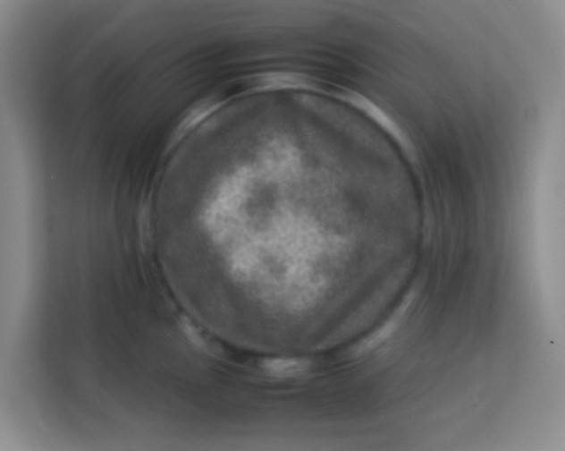 X0000113641145200910091531