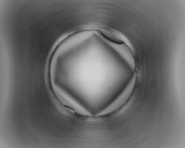 X0000113641146200910091531