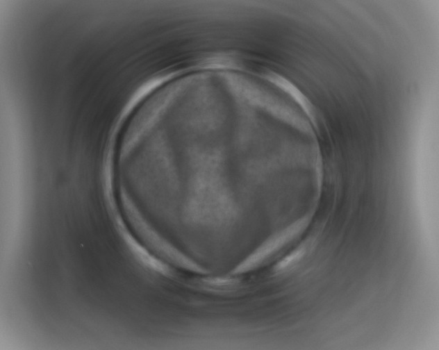 X0000113641147200910091531