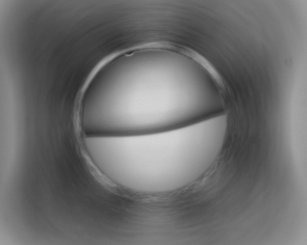 X0000113641148200910091531