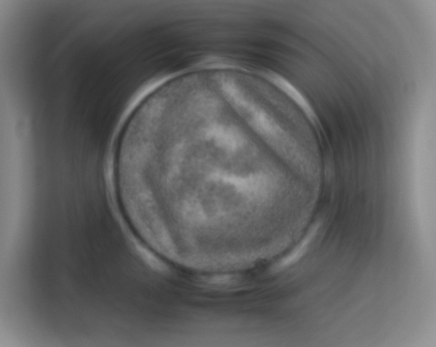 X0000113641149200910091531