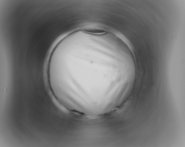 X0000113641152200910091532