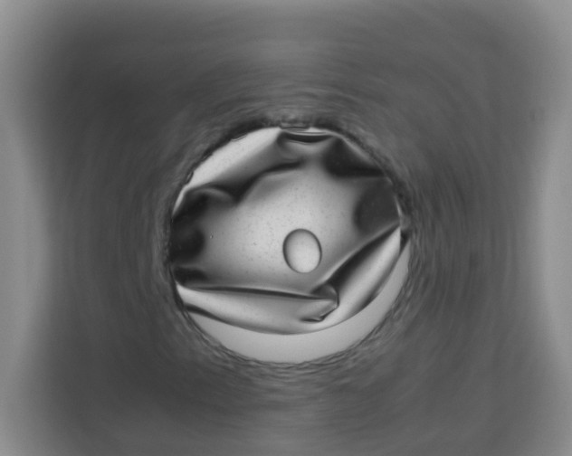 X0000113641153200910091531